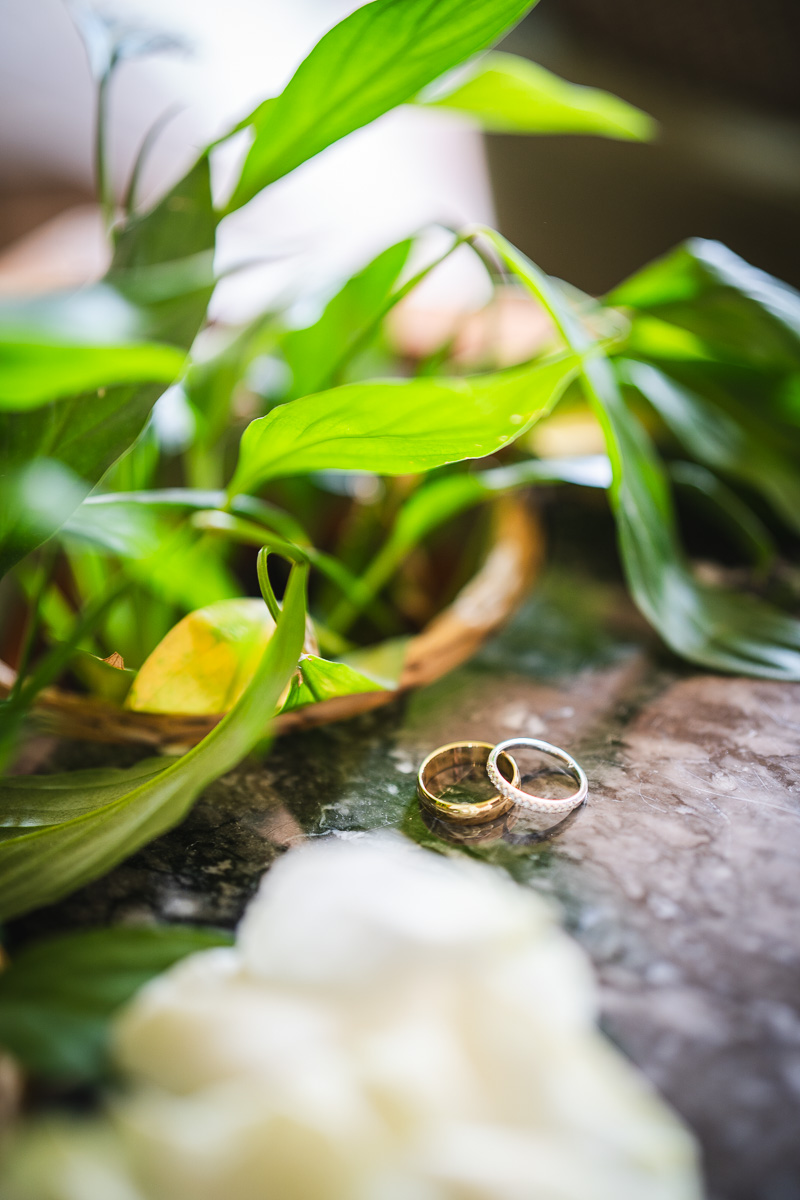 Close-up of the Zeina wedding rings before the ceremony at Halte en Cocagne