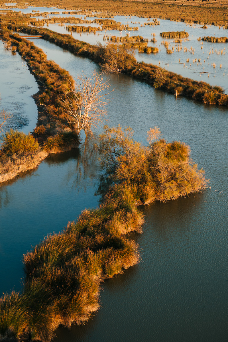Panoramic view of Camargue marshes with golden canals at sunset