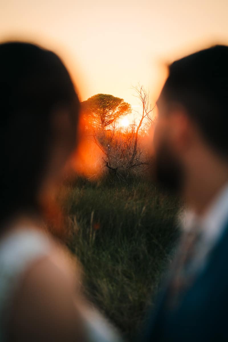 Married couple at sunset in Camargue, blurred silhouettes with tree and golden light