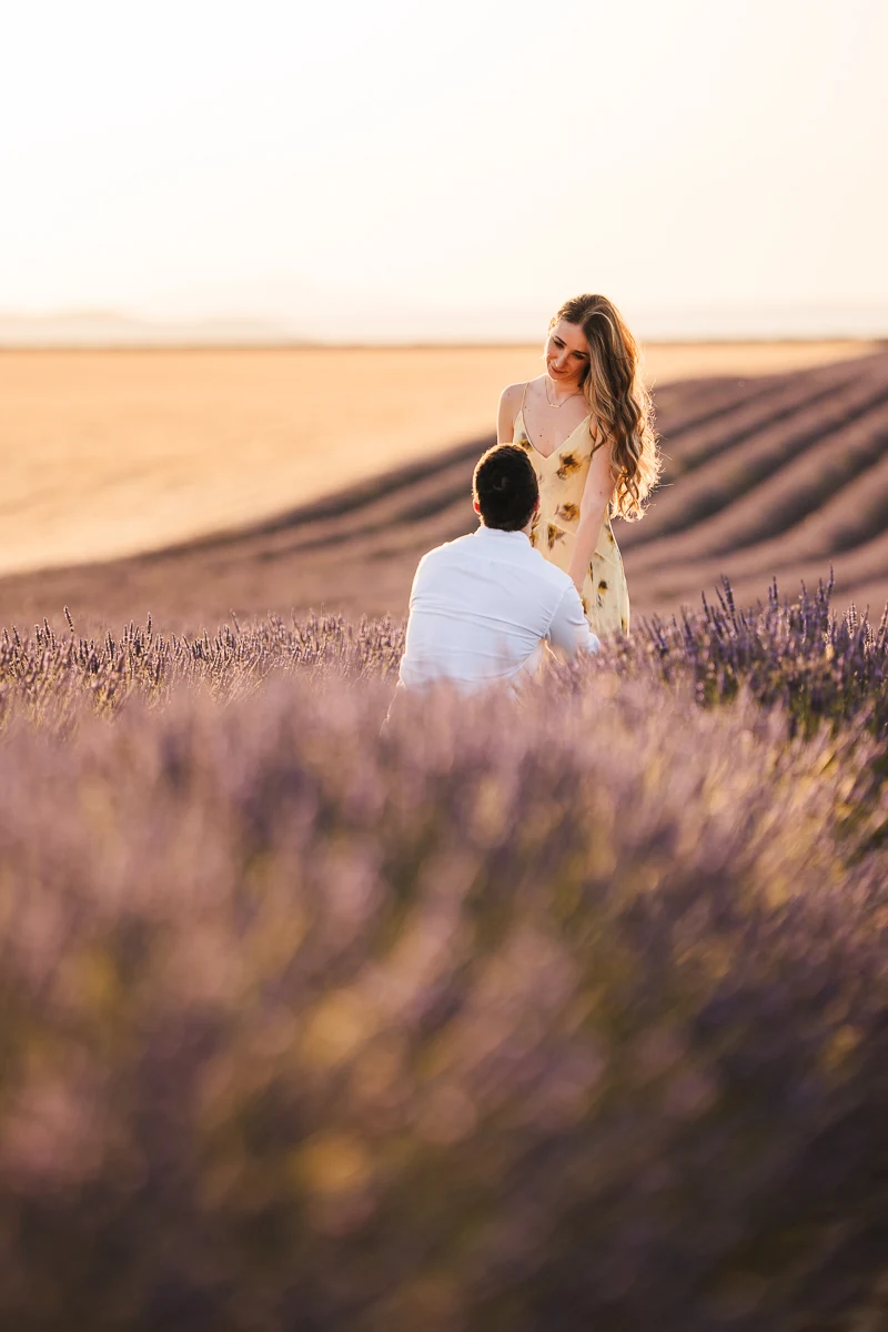 A woman looking down at her partner as he proposes in a Valensole lavender field