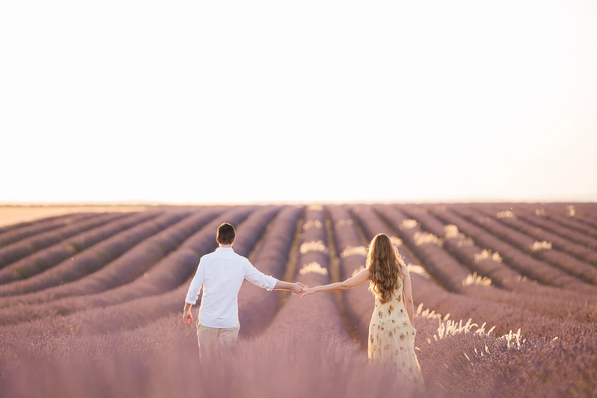 A couple walking hand in hand through lavender rows, seen from behind, Valensole