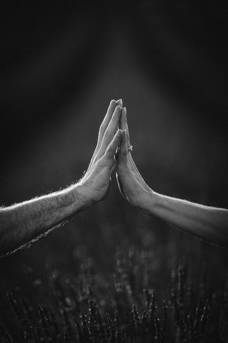 Close-up of an engagement ring on joined hands in a lavender field, black and white