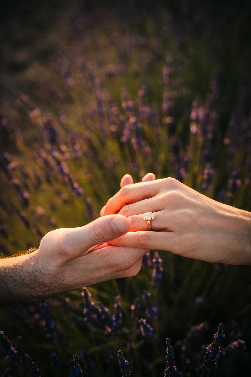 Close-up of a couple's hands showing the engagement ring among lavender flowers in Valensole
