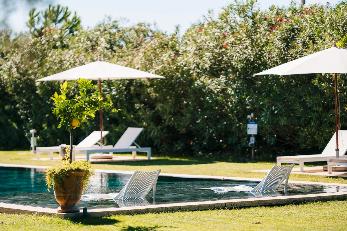Pool, parasols and sunloungers in the gardens of Domaine de la Trinité, wedding venue near Montpellier