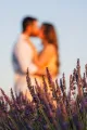 A couple kissing, out of focus, behind lavender flowers at sunset in Valensole